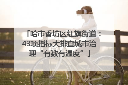哈市香坊区红旗街道：43项指标大排查城市治理“有数有温度”